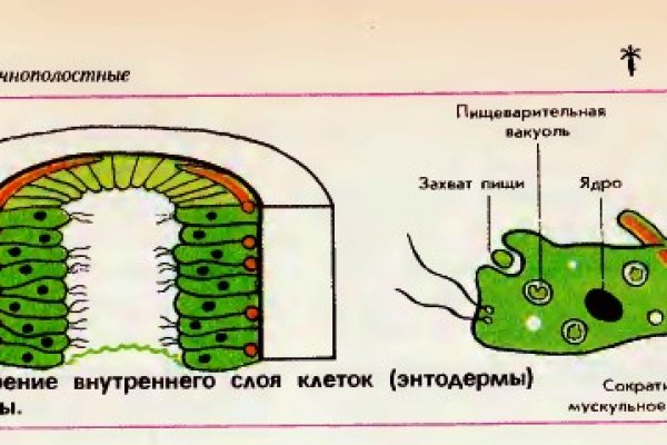 Блэк спрут bsconnect co