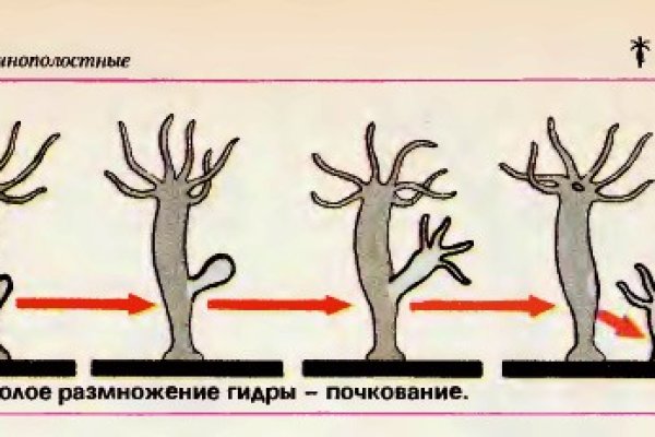 Сайты типа гидры