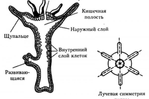 Ссылка блэкспрут 1blacksprut me