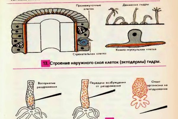 Блэк спрут ссылка зеркало